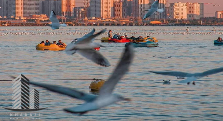 پارک جنگلی چیتگر